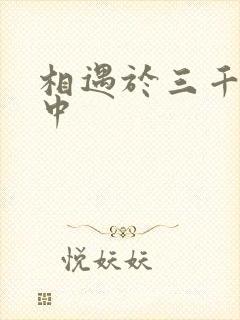 相遇于三千肉文中
