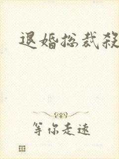 退婚总裁杀手妻