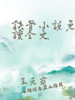 铁骨小说免费阅读全文