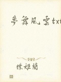 梦舞风云txt