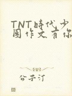 TNT时代少年团作文有你真好