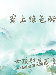 霸上绝色酷王爷