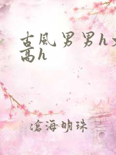 古风男男h文肉高h