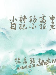小诗的高中成长日记小说免费阅读