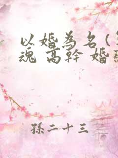 以婚为名 (军魂 高干 婚恋)