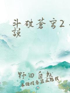 斗破苍穹2 小说