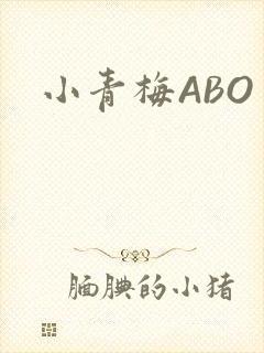 小青梅ABO