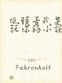 低头看我是怎么玩你的小说