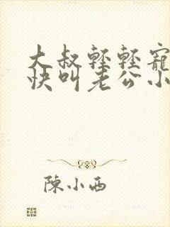 大叔轻轻宠宝贝快叫老公小说