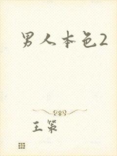 男人本色2