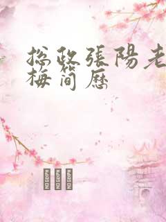 总政张阳老婆吕梅简历