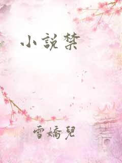 小说禁