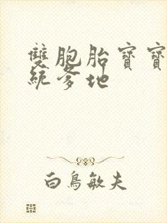 双胞胎宝宝的总统爹地