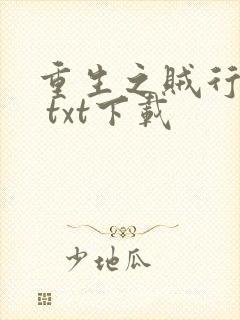 重生之贼行天下 txt下载