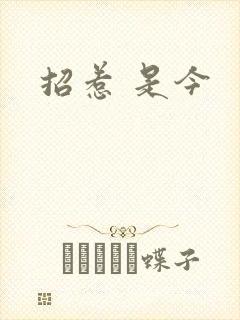 招惹 是今