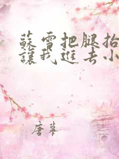 苏雪把腿抬起来让我进去小说