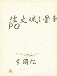 烟火城(骨科)PO