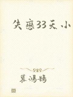 失恋33天小说