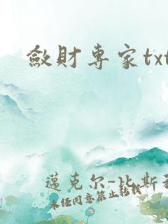 敛财专家txt