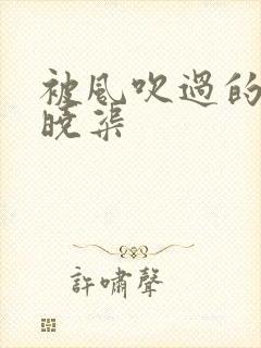 被风吹过的夏天晓渠