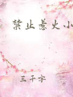 禁止惹火小说
