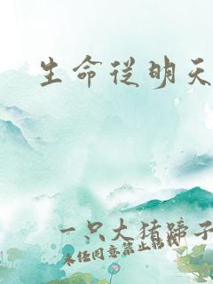 生命从明天开始