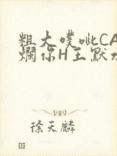 粗大噗呲CAO烂你H王默水王子