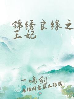 锦绣良缘之北地王妃