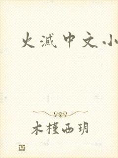 火灭中文小说
