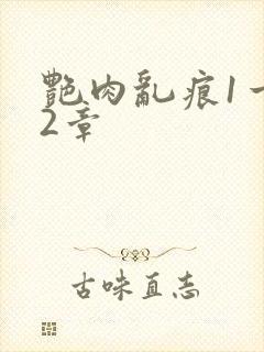 艳肉乱痕1一12章