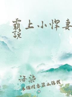 霸上小悍妻 小说