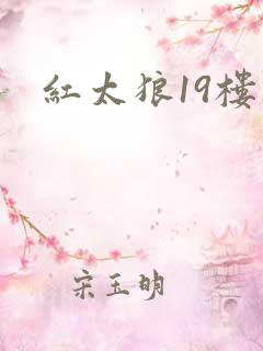 红太狼19楼