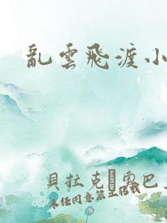 乱云飞渡小说