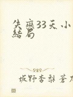 失恋33天小说结局