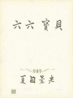 六六 宝贝