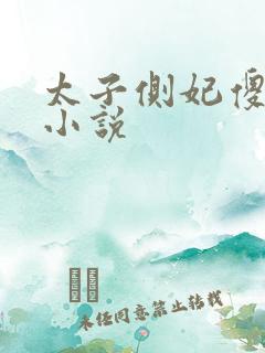 太子侧妃傻乎乎小说