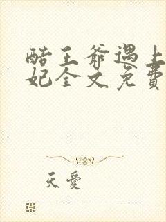 酷王爷遇上穿越妃全文免费阅读