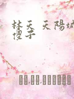 林天 天阳城 傻子
