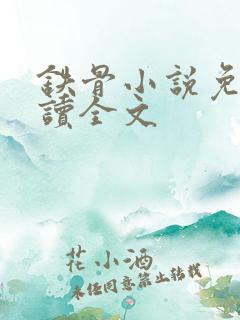 铁骨小说免费阅读全文