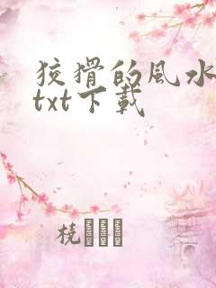 狡猾的风水相师txt下载