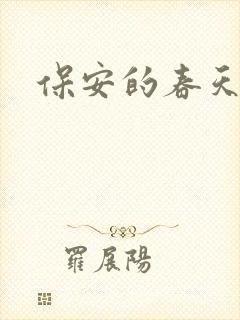 保安的春天