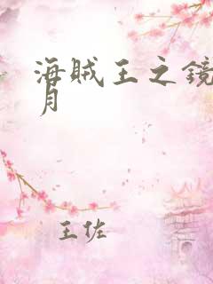 海贼王之镜花水月