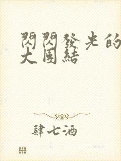 闪闪发光的小说大团结