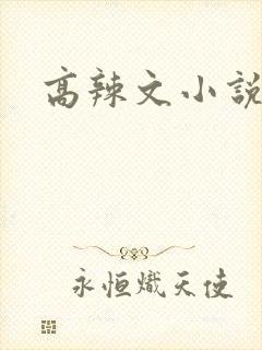 高辣文小说