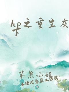 hp之重生灰猊下