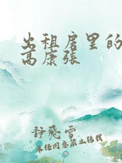 出租房里的交互高康张