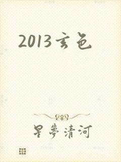 2013玄色