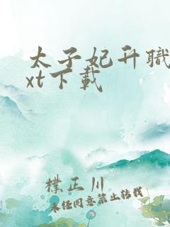 太子妃升职记txt下载