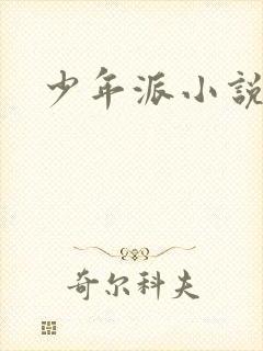 少年派小说