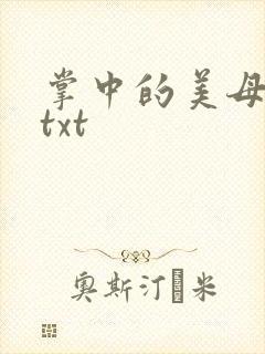 掌中的美母版主txt